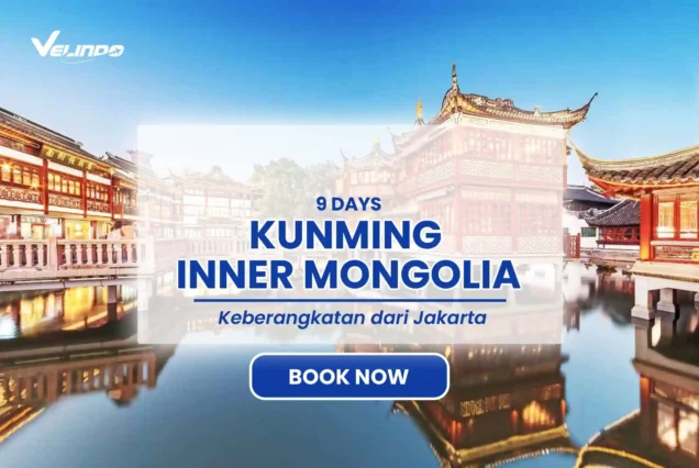 9D-DREAMY-KUNMING-INNER-MONGOLIA