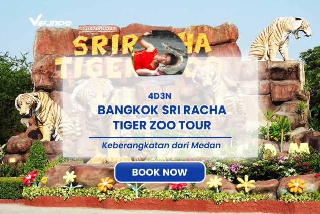 4D3N-BANGKOK-SRI-RACHA-TIGER-ZOO-TOUR