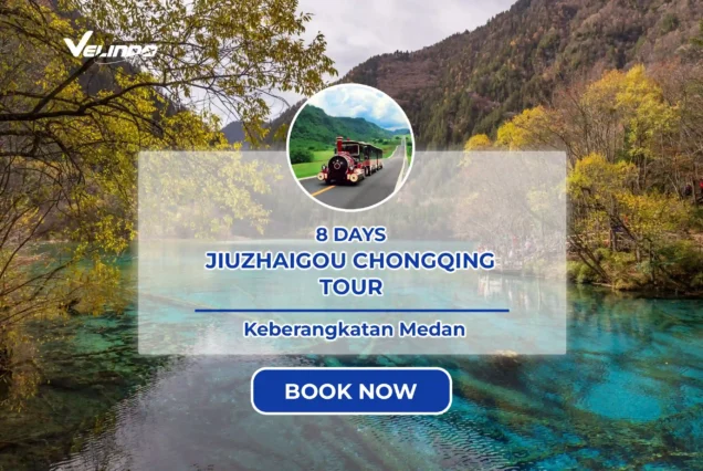 Explore Dreamy of 8D Jiuzhaigou Chongqing Tour