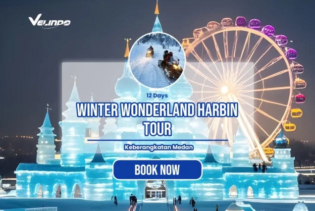 Explore Winter of 12D Wonderland Harbin Tour