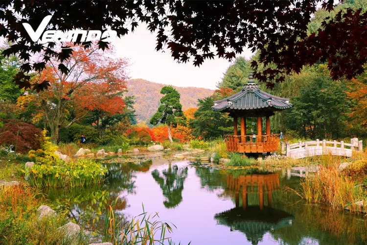 Garden of Morning Calm
