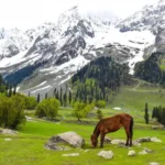 tempat wisata di kashmir Taman Nasional Dachigam