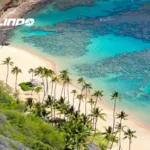 tempat wisata di hoi an Cham Islands