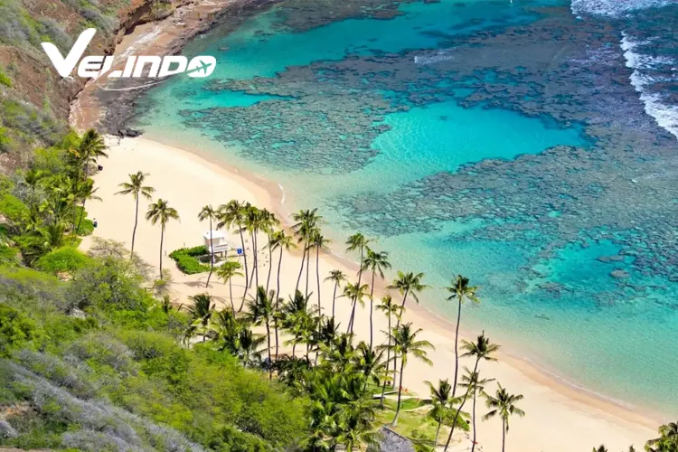 tempat wisata di hoi an Cham Islands