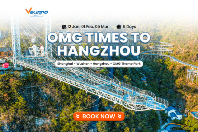 6D OMG TIMES TO HANGZHOU