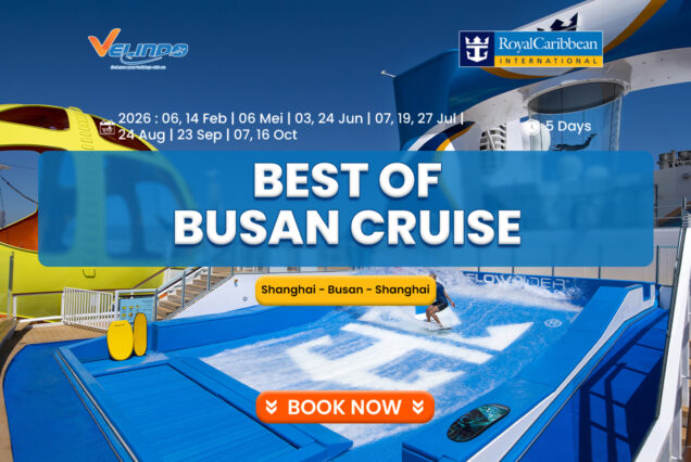 Spectrum of The Seas, 4 Night Busan Cruise