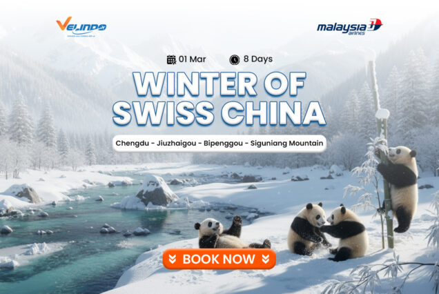 8D WINTER OF SWISS CHINA