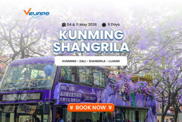 9D WONDERFUL KUNMING SHANGRILA