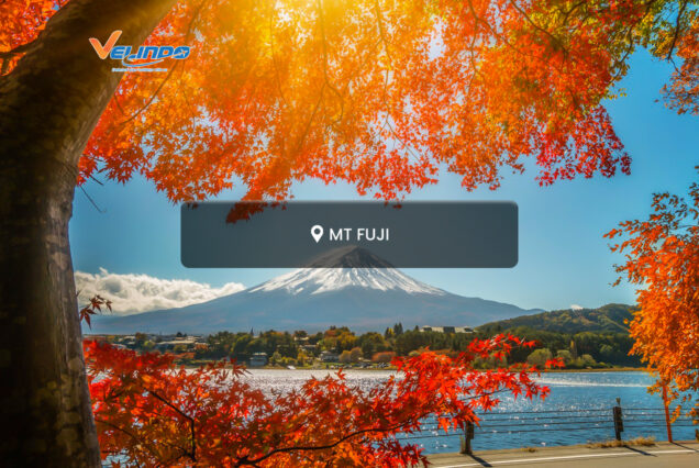 Mt Fuji