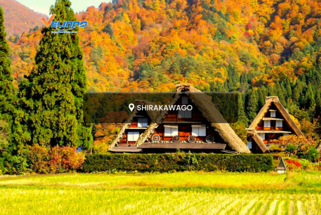 Shirakawago