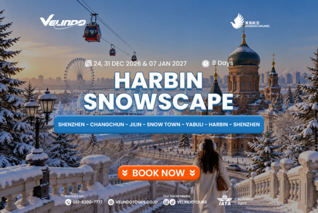 Harbin Snowscape