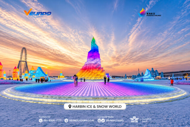 Harbin Snowscape