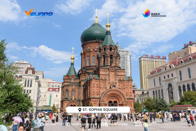 Harbin Snowscape