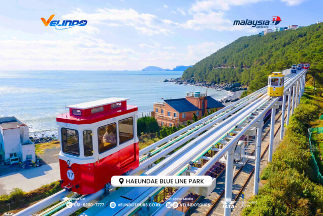 Korea Yacht Tour