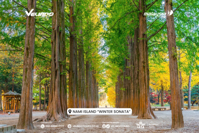 Nami island